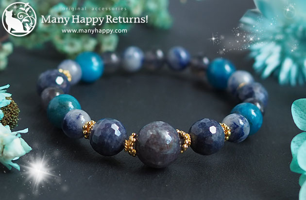 �p���[�X�g�[���u���X