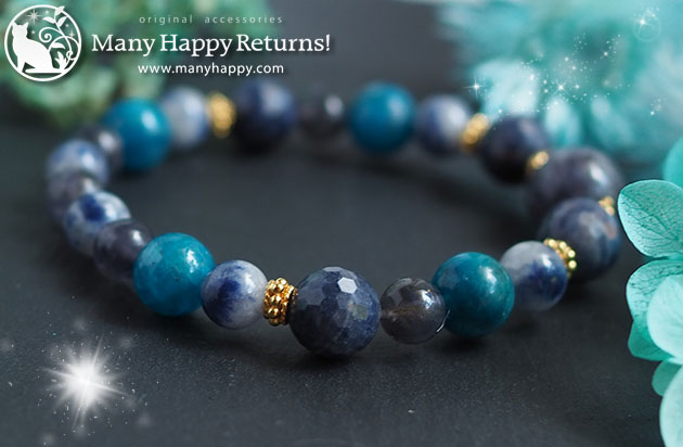 �p���[�X�g�[���u���X���b�g