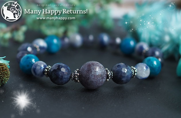 �p���[�X�g�[���u���X