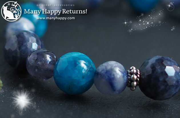 �p���[�X�g�[���u���X���b�g