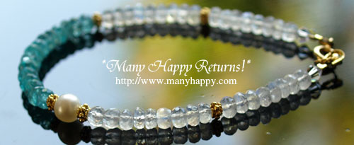 �p���[�X�g�[���u���X