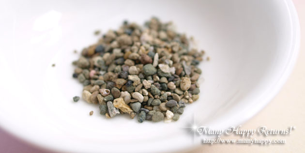 �p���[�X�g�[��