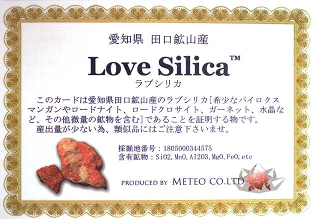 �p���[�X�g�[���u���X���b�g