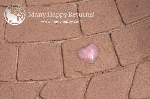 �p���[�X�g�[���E�V�R�΃A�N�Z�T���[�̓X*Many Happy Returns!*���m�点�u���O