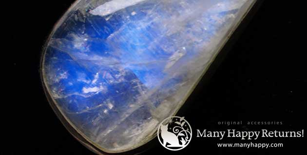 �p���[�X�g�[���W���G���[