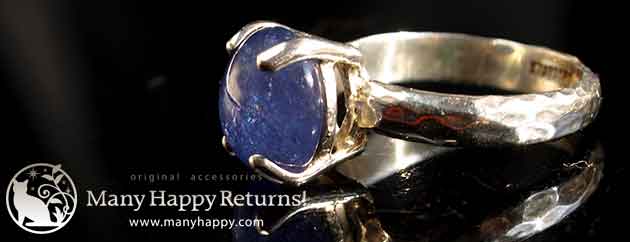 �p���[�X�g�[���W���G���[