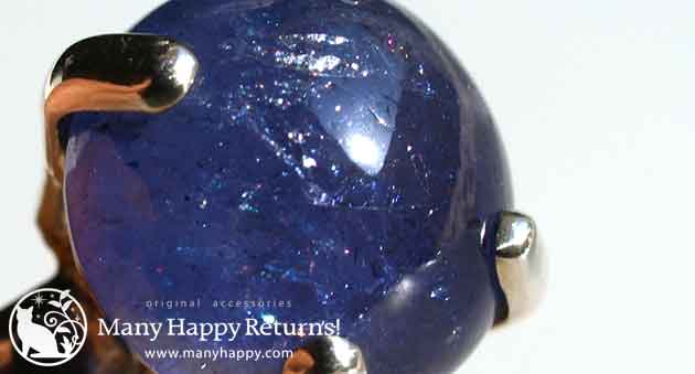 �p���[�X�g�[���W���G���[