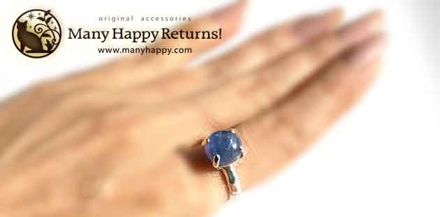 �p���[�X�g�[���W���G���[