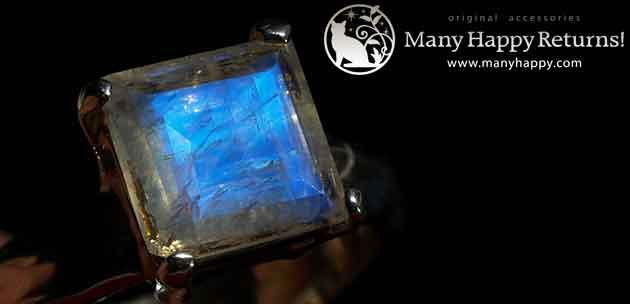 �p���[�X�g�[���W���G���[