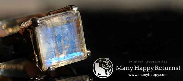 �p���[�X�g�[���W���G���[