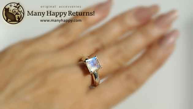 �p���[�X�g�[���W���G���[