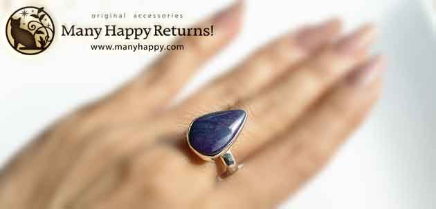 �p���[�X�g�[���W���G���[