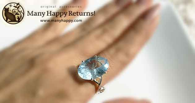 �p���[�X�g�[���W���G���[