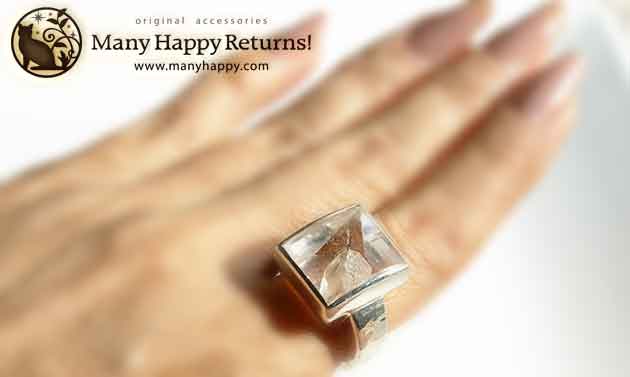 �p���[�X�g�[���W���G���[