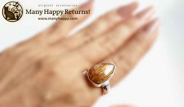 �p���[�X�g�[���W���G���[