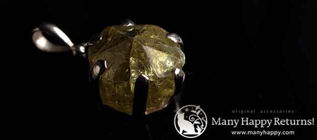 �p���[�X�g�[���W���G���[