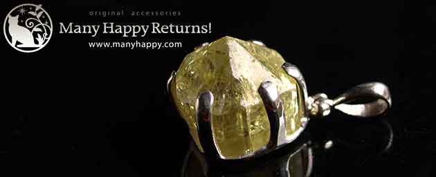 �p���[�X�g�[���W���G���[