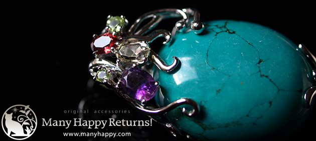 �p���[�X�g�[���W���G���[