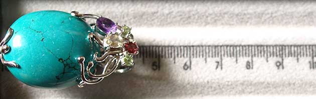 �p���[�X�g�[���W���G���[