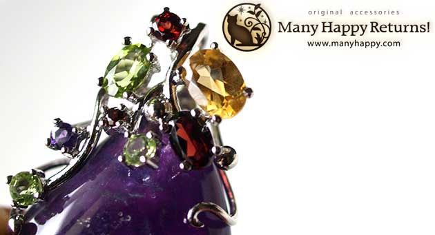 �p���[�X�g�[���W���G���[