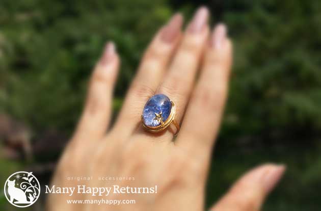 �p���[�X�g�[���W���G���[