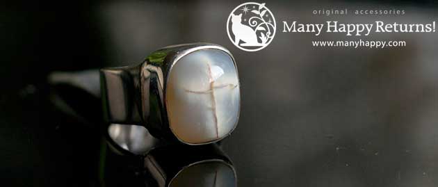 �p���[�X�g�[���W���G���[