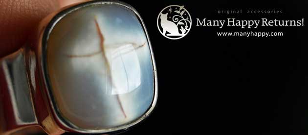 �p���[�X�g�[���W���G���[