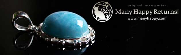 �p���[�X�g�[���W���G���[