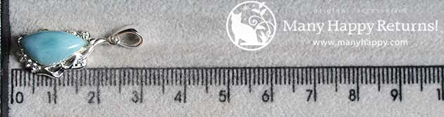 �p���[�X�g�[���W���G���[