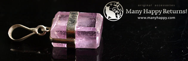 �p���[�X�g�[���W���G���[