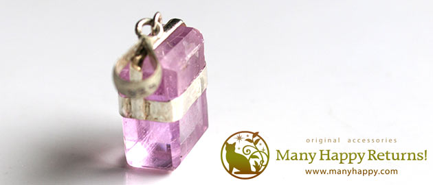 �p���[�X�g�[���W���G���[