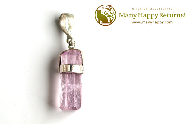 �p���[�X�g�[���y���_���g