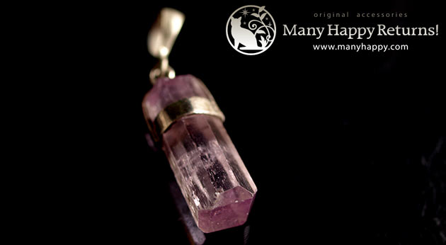 �p���[�X�g�[���W���G���[