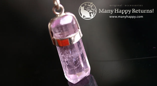 �p���[�X�g�[���W���G���[