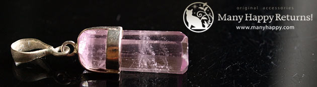 �p���[�X�g�[���W���G���[