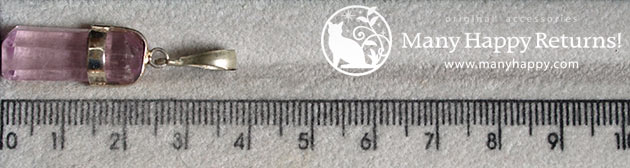 �p���[�X�g�[���W���G���[