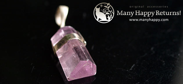 �p���[�X�g�[���W���G���[