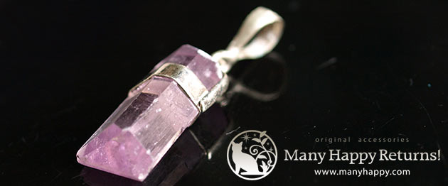 �p���[�X�g�[���W���G���[