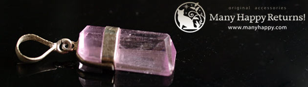 �p���[�X�g�[���W���G���[