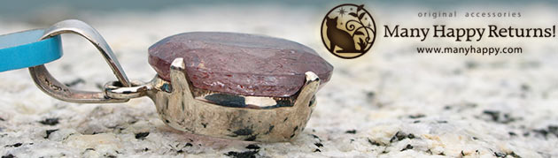 �p���[�X�g�[���W���G���[