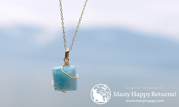 �p���[�X�g�[���W���G���[