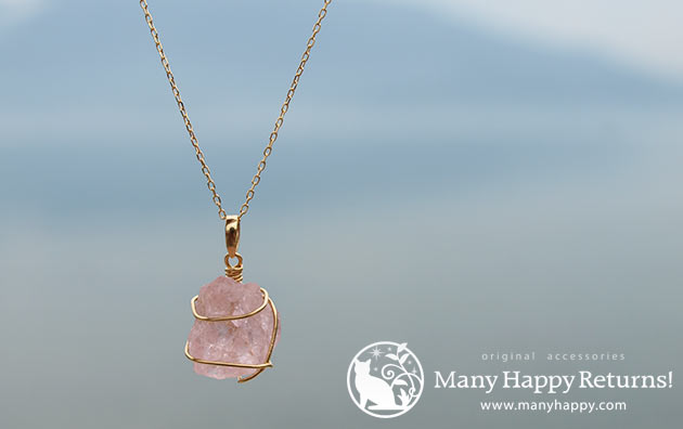 �p���[�X�g�[���W���G���[