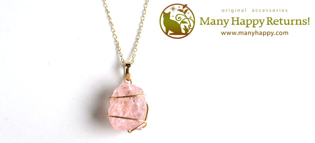 �p���[�X�g�[���W���G���[