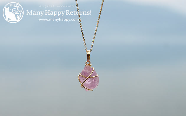 �p���[�X�g�[���W���G���[