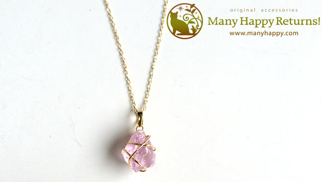 �p���[�X�g�[���W���G���[