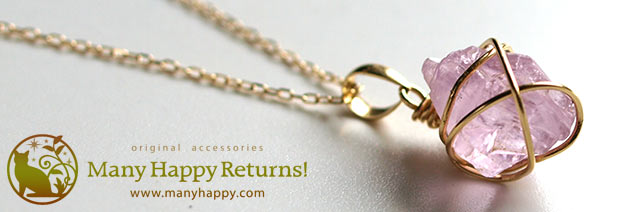 �p���[�X�g�[���W���G���[