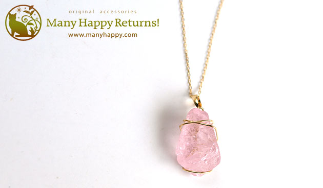 �p���[�X�g�[���W���G���[