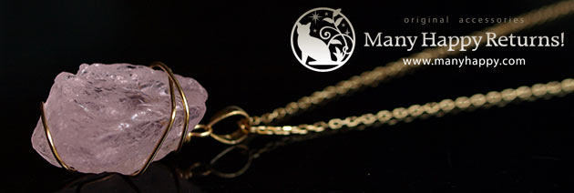 �p���[�X�g�[���W���G���[