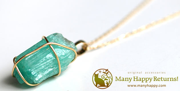 �p���[�X�g�[���W���G���[