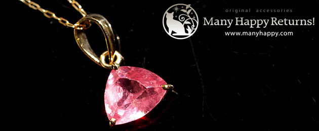 �p���[�X�g�[���W���G���[